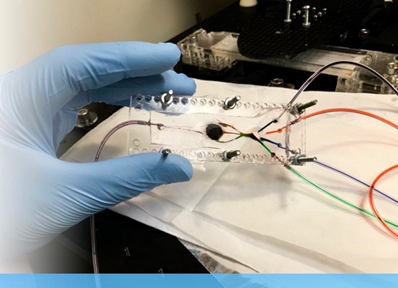 3D打印机可以快速打印多种生物材料