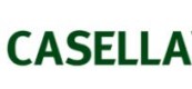 英国CASELLA