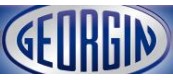 法国GEORGIN