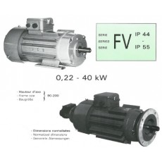 RADIO-ENERGIE变速电机 FV系列