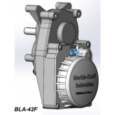 Merkle-Korff 无刷直流减速电机BLA-42F