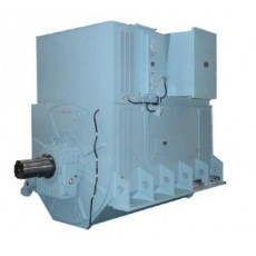 HYUNDAI ELECTRIC 水冷高压同步发电机1系列