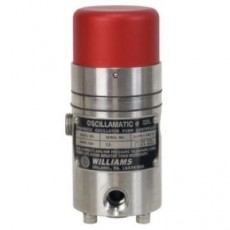 WILLIAMS 定时器控制器MK-II系列