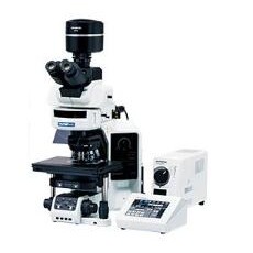 EVIDENT 电动荧光显微镜BX63系列