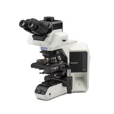 EVIDENT 半电动荧光显微镜BX53(LED)系列