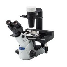 EVIDENT 紧凑型细胞培养用显微镜CKX53系列