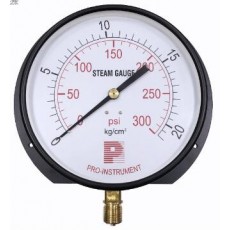 PRO-INSTRUMENT 蒸汽压力表P100系列