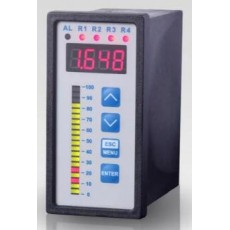 BD SENSOR 过程显示器CIT 350系列