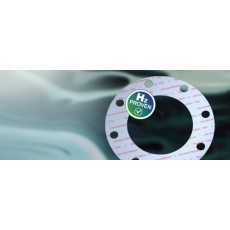 James Walker 垫片Fluolion 700系列