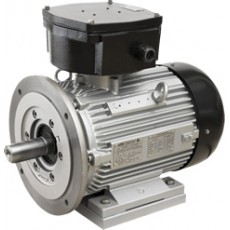 ATB MOTORS 防爆电机系列