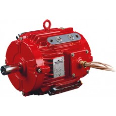 ATB MOTORS 烟气发动机系列