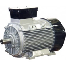 ATB MOTORS 防护等*更高的电机系列