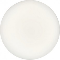 SYLVANIA 壁挂式或吸顶式LED灯具SylCirle