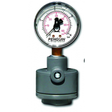 FILTER PUMP 塑料压力表系列