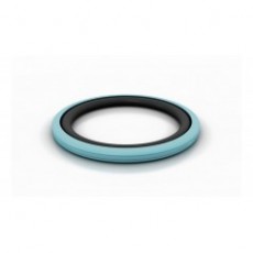 TRELLEBORG 双作用密封件Glyd Ring D系列