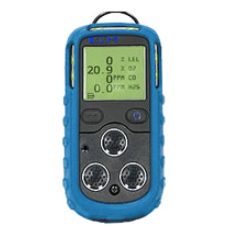 DETCON 气体监测仪PS200系列