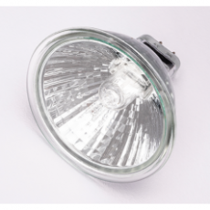 International Light 卤素反射灯L2012