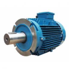 UNIVERSAL MOTORS 电动机自定义执行系列
