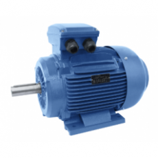 UNIVERSAL MOTORS 电动机铸铁系列