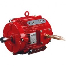 ATB MOTORS 烟气发动机系列