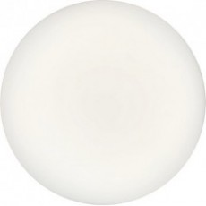 SYLVANIA 壁挂式或吸顶式LED灯具SylCirle