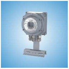 CNPC-Ex 智能防爆温度控制器CN810-I系列