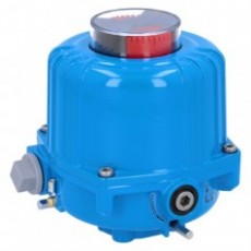 Watergates 电动旋转执行器NE032100系列