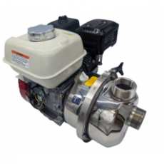 PACER 金属饮用水输送泵IPW2WL E6HCP系列