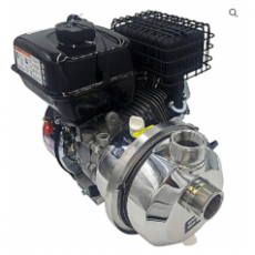 PACER 金属饮用水输送泵IPW2WL E5.5系列