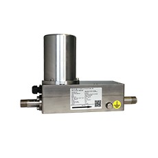ESTERS 气体流量计GD 500 EX – 外管螺纹系列