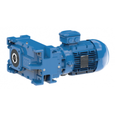 Elektromotorenwerk 平行轴齿轮电机MAS