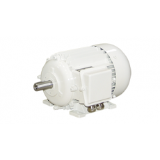 Elektromotorenwerk 标准驱动器 IE4系列