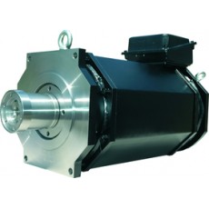 Elektromotorenwerk 主轴驱动电机系列