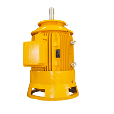 Elektromotorenwerk 发动机F225M-2M