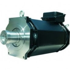 Elektromotorenwerk 主轴驱动电机系列