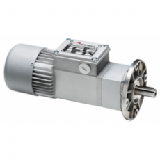 Elektromotorenwerk 斜齿轮行星齿轮马达系列