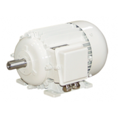 Elektromotorenwerk 标准驱动器 IE4系列