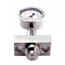 SHINKEG 均质机隔膜压力表系列