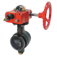 DAE JUNG 带槽蝶形阀HS430系列