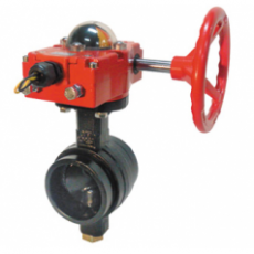 DAE JUNG 带槽蝶形阀HS430系列