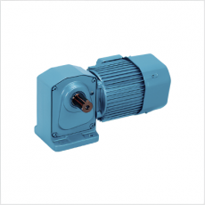 SG GEAR MOTOR 直角轴齿轮电机系列