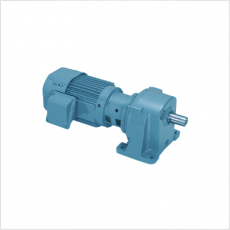 SG GEAR MOTOR 三相离合器和制动齿轮电机系列
