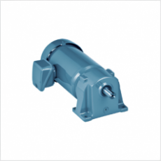 SG GEAR MOTOR 单相平行轴齿轮电机系列