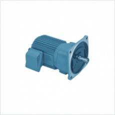 SG GEAR MOTOR 三相平行轴齿轮电机系列