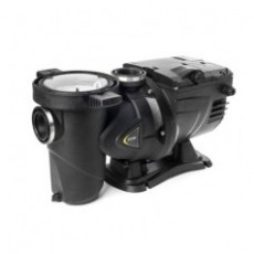 DAB 游泳池水泵ESWIM系列