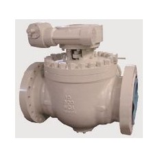 FASANI VALVE 顶部入口球阀系列