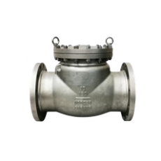FASANI VALVE 止回阀BS1868系列