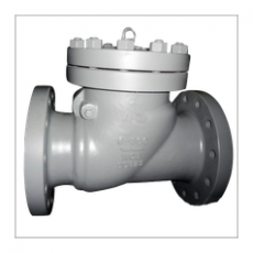 FASANI VALVE 旋启式止回阀系列