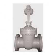 FASANI VALVE 闸阀API600系列