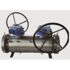 FASANI VALVE 双球球阀系列